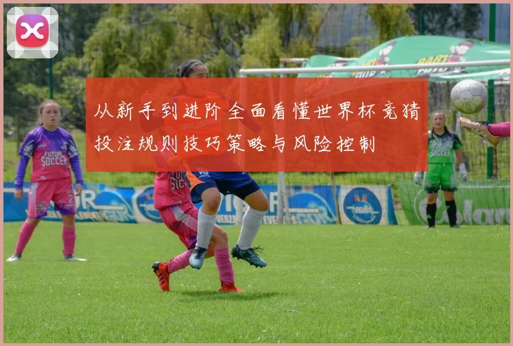 从新手到进阶全面看懂世界杯竞猜投注规则技巧策略与风险控制