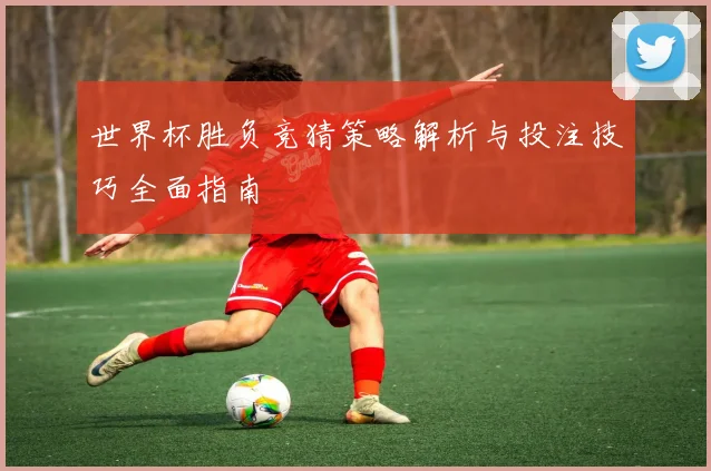 世界杯胜负竞猜策略解析与投注技巧全面指南